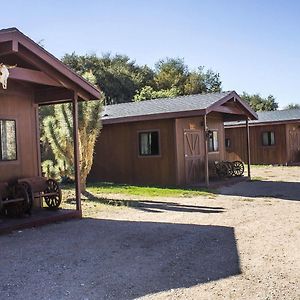 Cottage medio